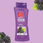 Blackberry Body Lotion