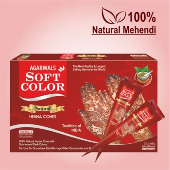 Instant Heena Colour Mehndi Cone