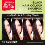 black-hair-colour-shampoo-1