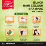 black-hair-colour-shampoo-1