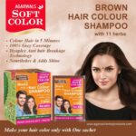 brown-hair-colour-shampoo-1