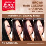 brown-hair-colour-shampoo-1