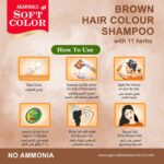 brown-hair-colour-shampoo-1