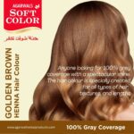 golden-henna-hair-colour-1